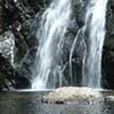 фото отеля Backpackers Paradise & Joyrides