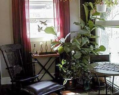фото отеля Greenwood Bed and Breakfast