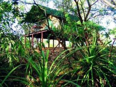фото отеля Mornington Wilderness Camp