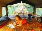 фото отеля Mornington Wilderness Camp