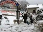 фото отеля La Lucciola