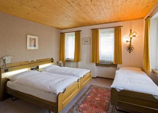 фото отеля Hotel Loetschberg
