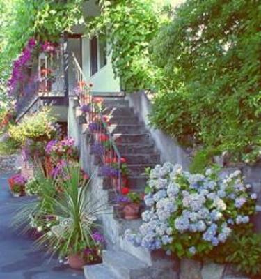 фото отеля Cherry Tree Inn Victoria (British Columbia)