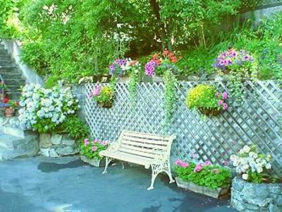 фото отеля Cherry Tree Inn Victoria (British Columbia)