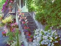 Cherry Tree Inn Victoria (British Columbia)