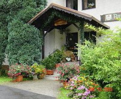фото отеля Pension und Cafe Am Forst