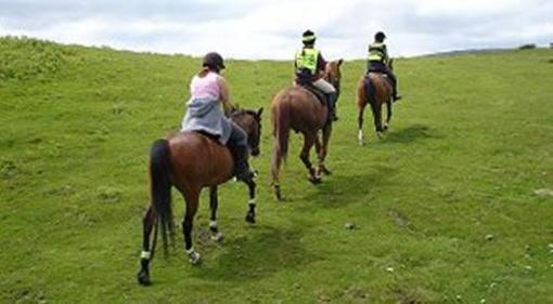 фото отеля Pentre Riding Stables