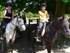 фото отеля Pentre Riding Stables