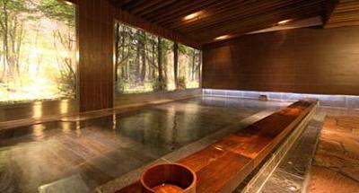фото отеля Hotel Sun Valley Nasu Tochigi
