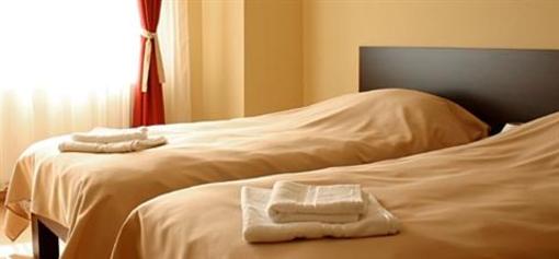 фото отеля Pension Cluj Cluj-Napoca