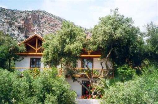 фото отеля Olive Tree Cottages