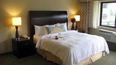 фото отеля Hilton Garden Inn Seattle Issaquah