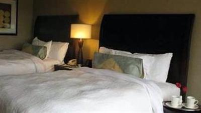 фото отеля Hilton Garden Inn Seattle Issaquah