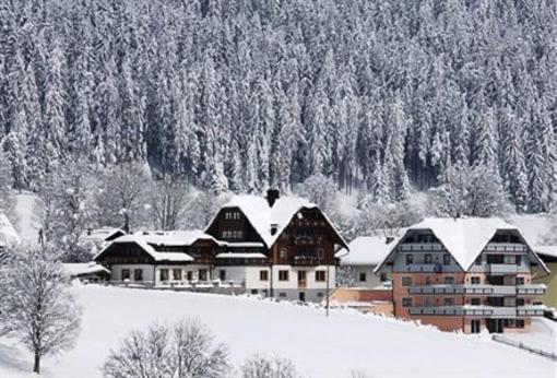 фото отеля Hotel Neuwirt Ramsau am Dachstein