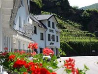 Hotel Zum Sanger An Der Ahr Bad Neuenahr-Ahrweiler