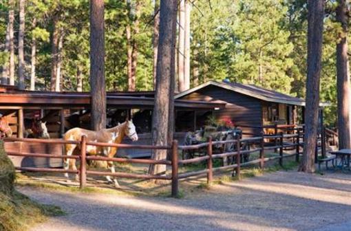 фото отеля Blue Bell Lodge Custer