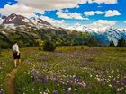 фото отеля Hilton Whistler Resort & Spa