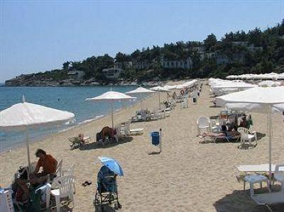фото отеля Tosca Beach Hotel