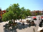 фото отеля Margherita House Venice