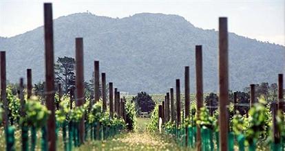 фото отеля Takatu Lodge & Vineyard