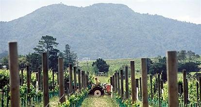 фото отеля Takatu Lodge & Vineyard