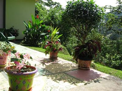 фото отеля Lands in Love Resort and Hotel La Fortuna