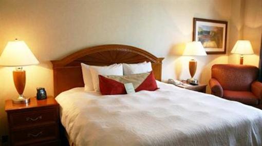 фото отеля Hilton Garden Inn Queens JFK Airport