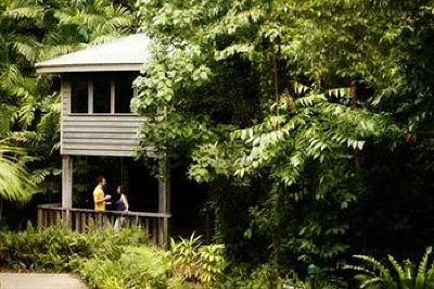 фото отеля Ferntree Rainforest Lodge
