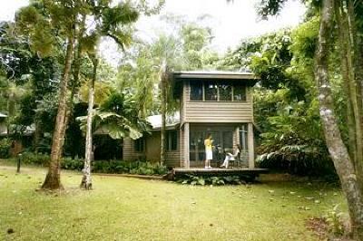 фото отеля Ferntree Rainforest Lodge