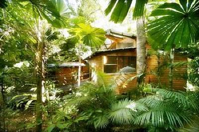 фото отеля Ferntree Rainforest Lodge