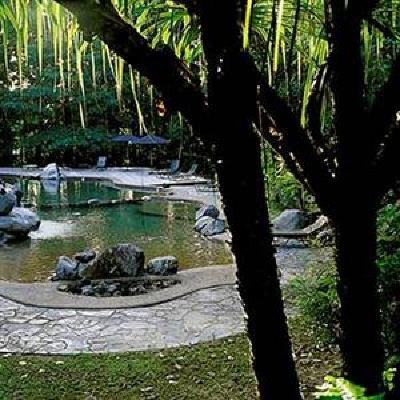 фото отеля Ferntree Rainforest Lodge