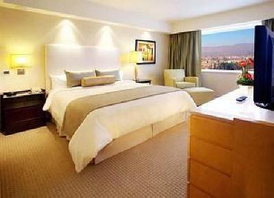фото отеля InterContinental Mendoza