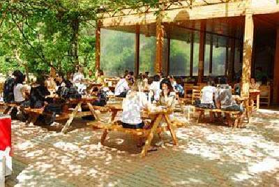 фото отеля Olympos Orange Pension