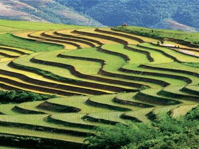 фото отеля Lao Cai Star Hotel