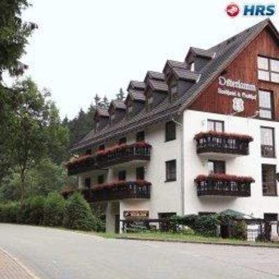 фото отеля Landhotel Osterlamm Grünhain-Beierfeld