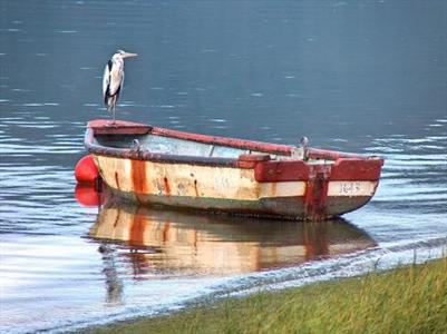 фото отеля The St. James of Knysna