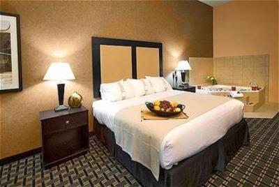 фото отеля Holiday Inn Northeast Arlington (Texas)