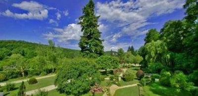 фото отеля Hotel Les Glycines