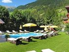 фото отеля Alpenhotel Tirolerhof Neustift im Stubaital