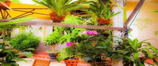 фото отеля Memories Homestay