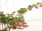 фото отеля Memories Homestay