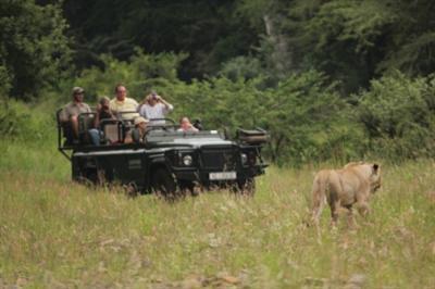 фото отеля Leopard Mountain Game Lodge