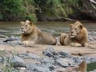 фото отеля Leopard Mountain Game Lodge