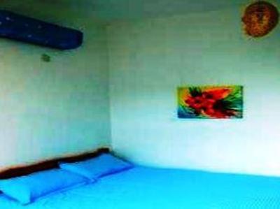 фото отеля Little Egret Hostel