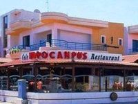 Hippocampus Hotel