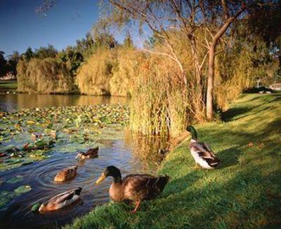 фото отеля Country Club Villas