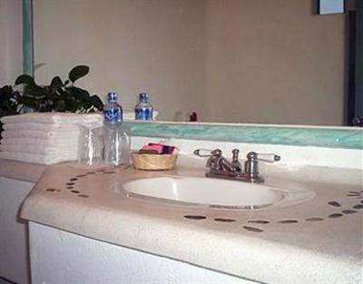 фото отеля Hotel Plaza Delphinus