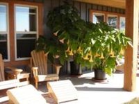 Arbutus Bluff Bed and Breakfast