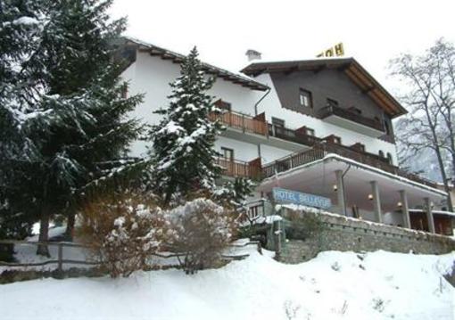 фото отеля Hotel Bellevue Gignod