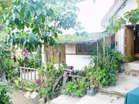 Novie's Tourist Inn